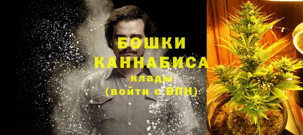 амф Арсеньев