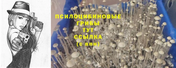 метамфетамин Аркадак