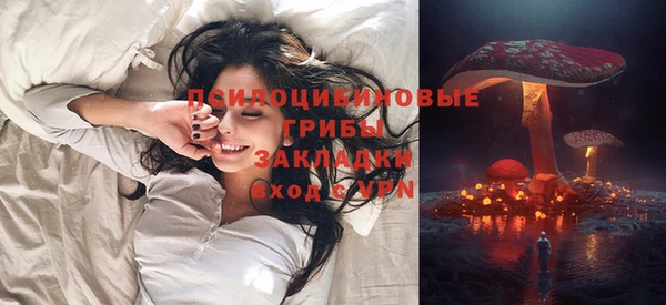 амф Арсеньев